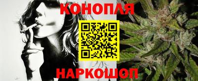 крисы Краснодар
