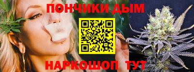 крисы Краснодар