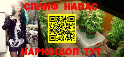 крисы Краснодар